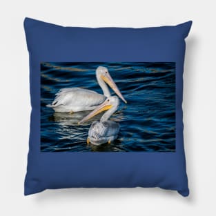 Pair of American White Pelicans Pillow