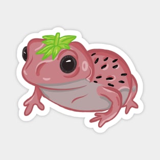 Strawberry Frog Magnet