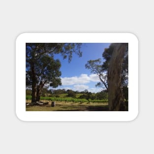 Blue Sky and Fluffy clouds in the Vineyard - Adelaide Hills - Fleurieu Peninsula by Avril Thomas Magnet