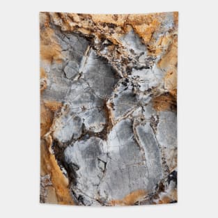 Abstract Rustic Orange Texture Erosion Tapestry