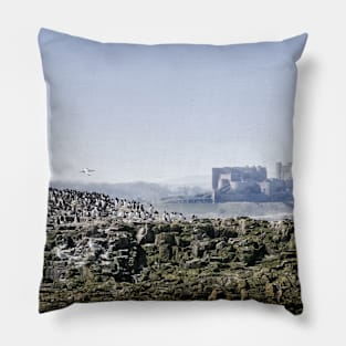 Guillemots on the Farne islands with Bamburgh Castle in the distance Pillow