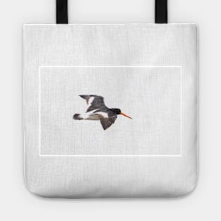 Black and white variable oystercatcher in flight Tote