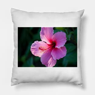 Hibiscus V Pillow