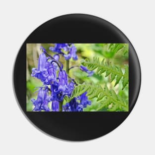 Bluebells in the Ferns Pin