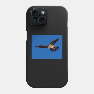 Kestrel in flight Phone Case