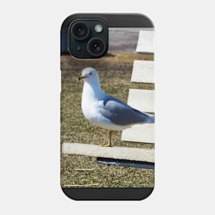 A Gull Standing On A Bench Phone Case