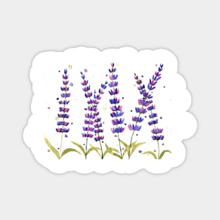 Lavender flowers Magnet