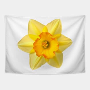 Yellow Daffodil flower Graphic Art Print Tapestry