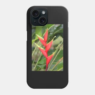 An Exotic Heliconia Phone Case