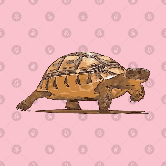 Cartoon Portrait Of Wild Baby Tortoise Plodding by taiche