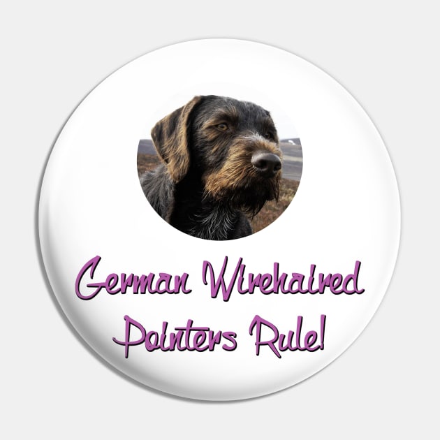 German Wirehaired Pointers Rule! Pin by Naves