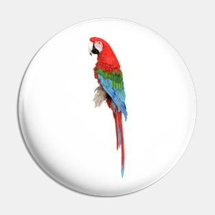 Red-and-green macaw Pin