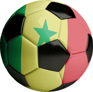 Senegal Soccer Ball Magnet