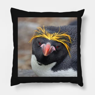 Macaroni penguin nesting Pillow