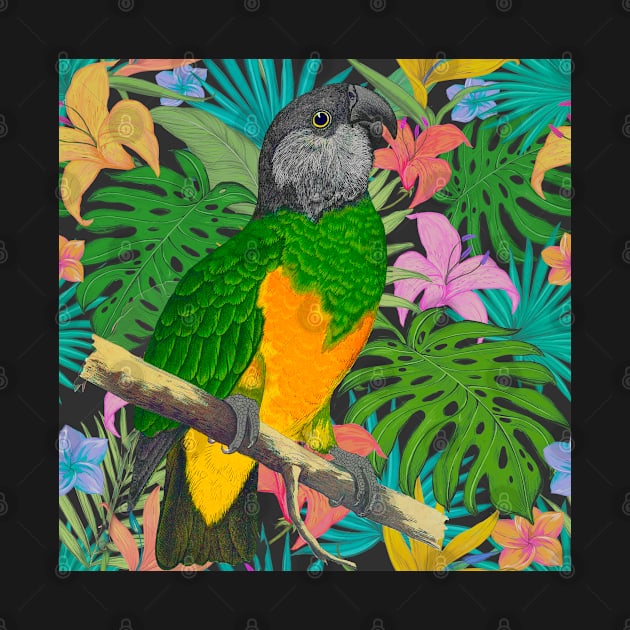 Senegal Parrot Tropical Design by shi-RLY designs