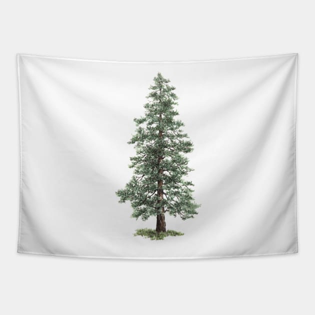 December birthday spruce tree Tapestry by birthflower