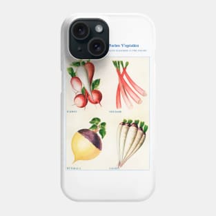 Garden Vegetable watercolor illustration (1915) Phone Case