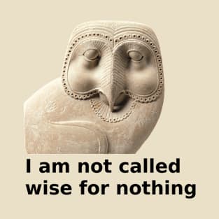 Ptolemaic owl is wise T-Shirt