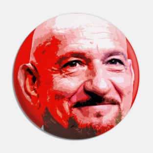 sir ben kingsley Pin