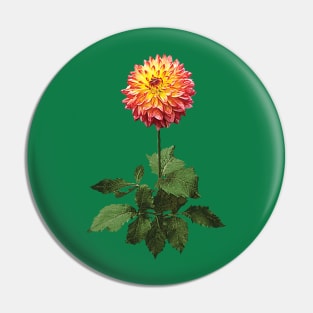 Dahlia Normandy Zachery Pin