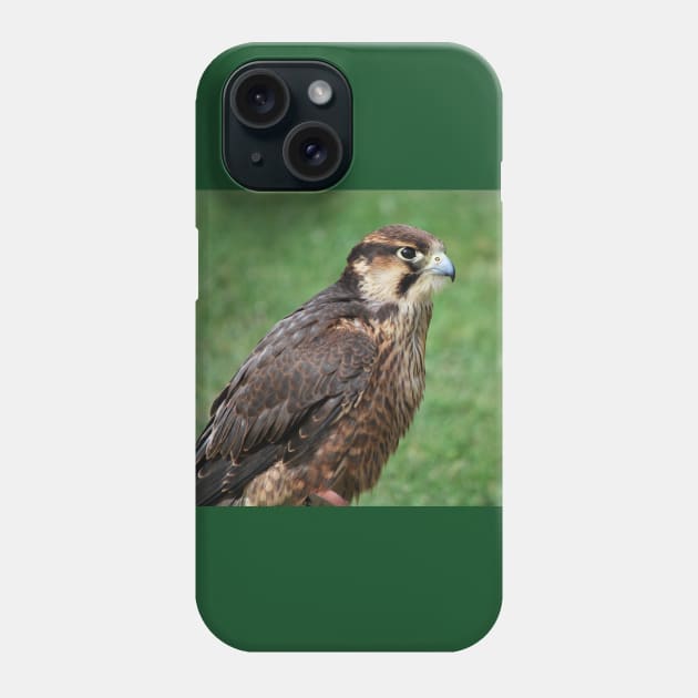 Kestrel Phone Case by snknjak