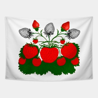 colorful fruit vintage strawberries Tapestry