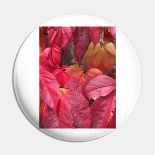 Autumn (Fall) Leaves Pin