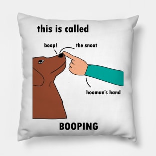 This is called Booping Pillow