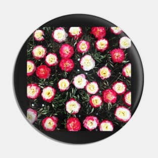 Vintage White And Pink Flowers & Leaves Background Pin