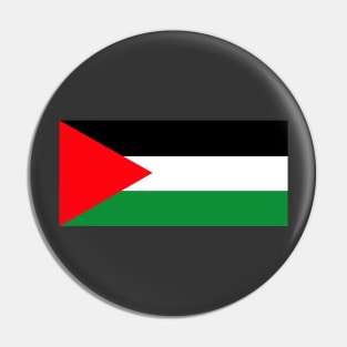 PALESTINE flag Pin