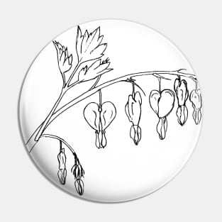 Bleeding Hearts Botanical Drawing Pin