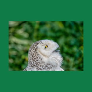 Head of snowy owl T-Shirt