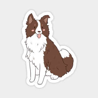 Cute border collie Magnet