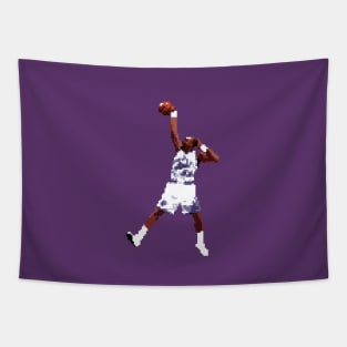 Mailman Pixel Dunk Tapestry