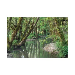 Red Alder Trees With Moss Hoh Rainforest Olympic National Park T-Shirt