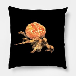 Incy wincy Spider Pillow