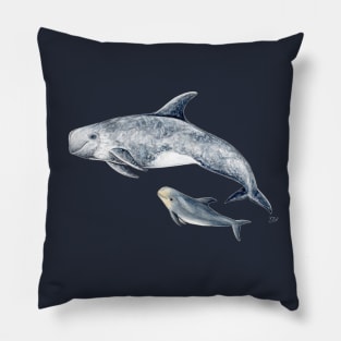 Rissos dolphin Pillow