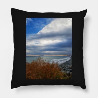 Stormy Weather Pillow