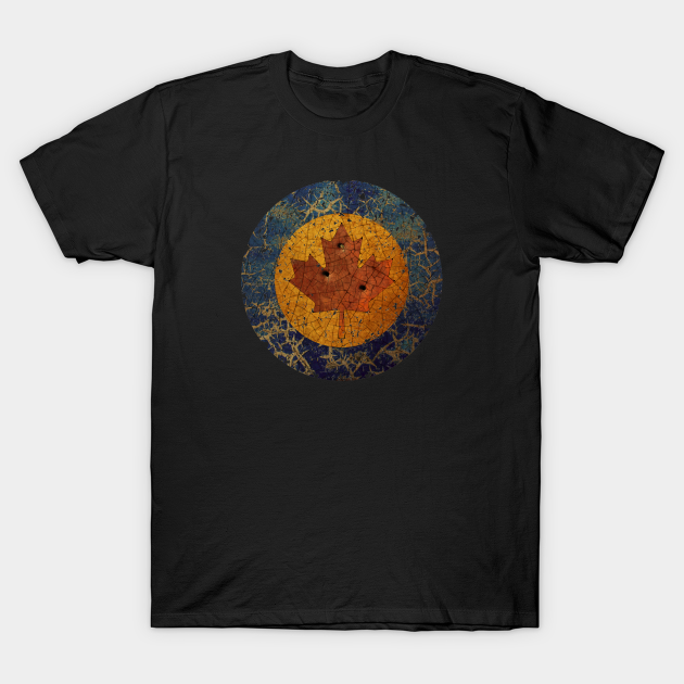 Discover Canadian Air Force - Canadian Air Force - T-Shirt