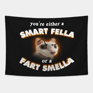 Smart Fella Cat Meme Tapestry