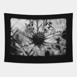 Vintage sea holly on a black and white film Tapestry