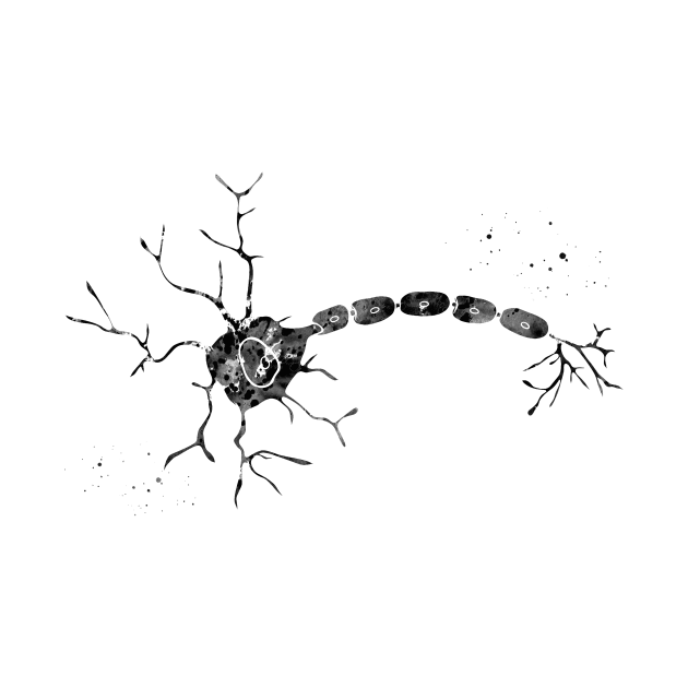 Anatomy of a typical human neuron by erzebeth