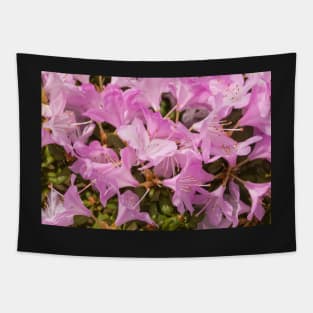 Pink Lilac Rhododendron Flowers Tapestry