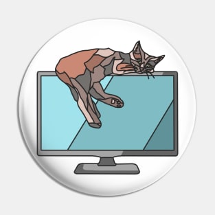 Brown Cat Sleeps on Monitor Pin