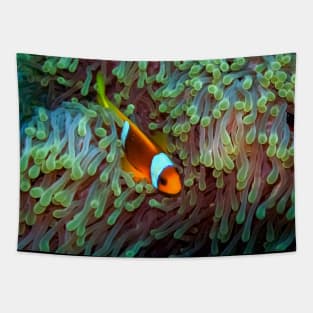 Clownfish Tapestry