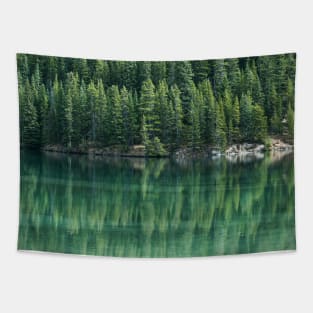 SCENERY 29 - Lake Water Forest Swamp Wilderness Tapestry