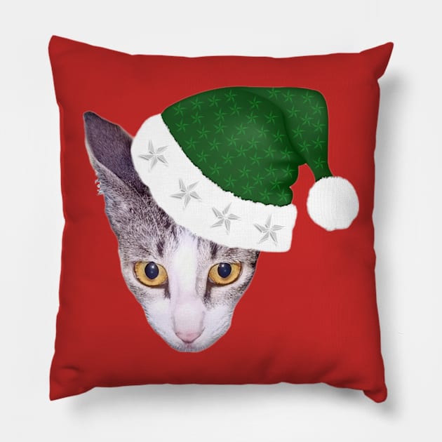 Cute Cat In Green Christmas Hat Pillow by aspinBreedCo2