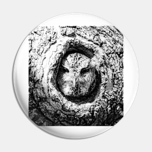 Screech Owl Pin