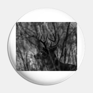White Tail Deer - Buck Pin