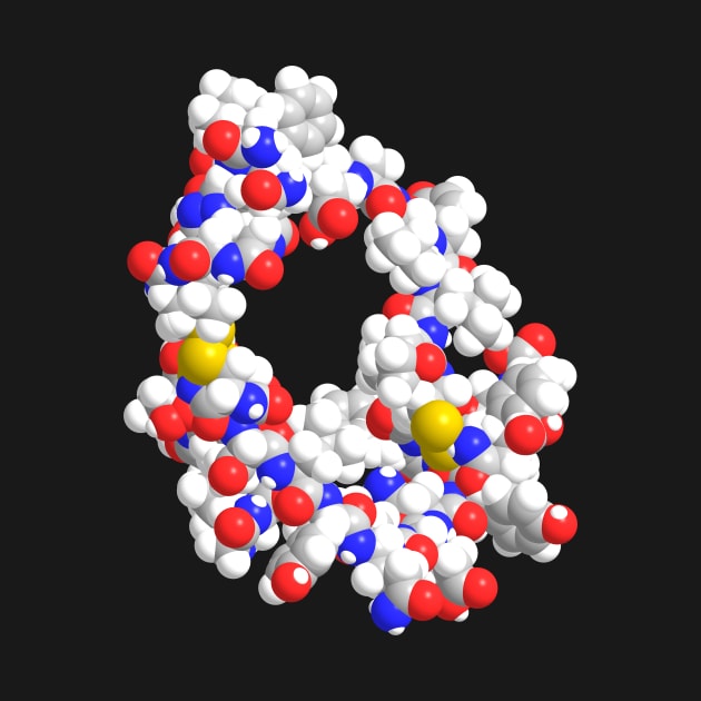 Insulin Molecule Chemistry by ChemECool